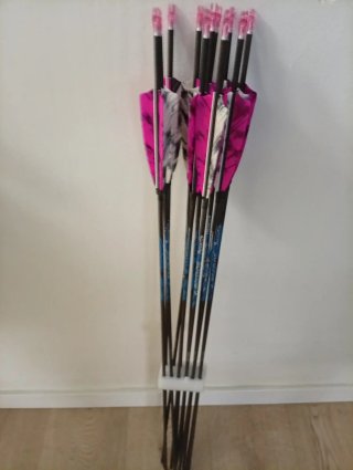 12 frecce in carbonio spine 800 da 32 pollici