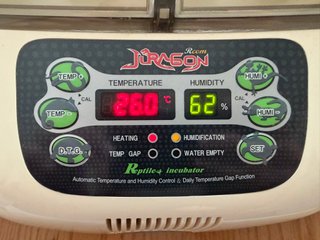Incubadora R-com Juragon PX-20R Reptiles