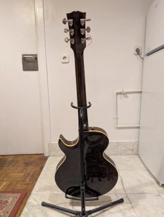 Gibson Howard Robert Fussion Guitarra Eléctrica