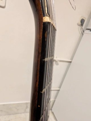 Gibson Howard Robert Fussion Guitarra Eléctrica