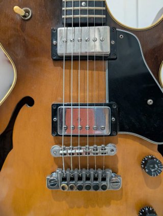 Gibson Howard Robert Fussion Guitarra Eléctrica