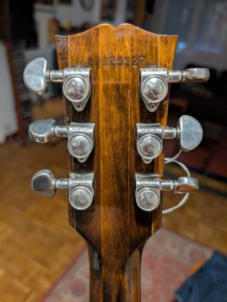 Gibson Howard Robert Fussion Guitarra Eléctrica