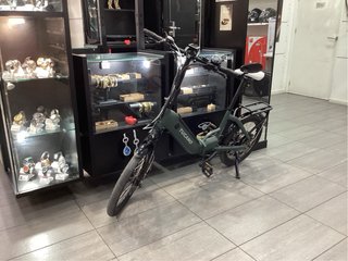 Bicicleta Eléctrica Tucano Monster Lowe