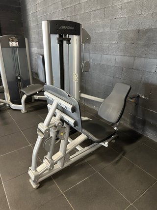 Lote musculación Life Fitness