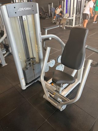 Lote musculación Life Fitness