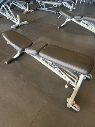 Lote musculación Life Fitness