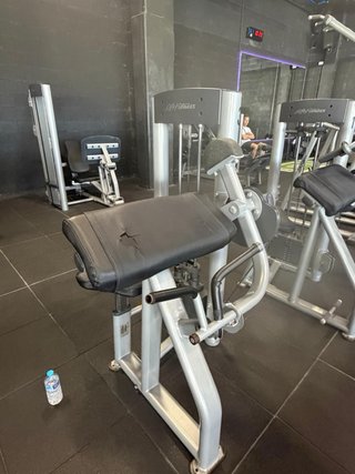 Lote musculación Life Fitness