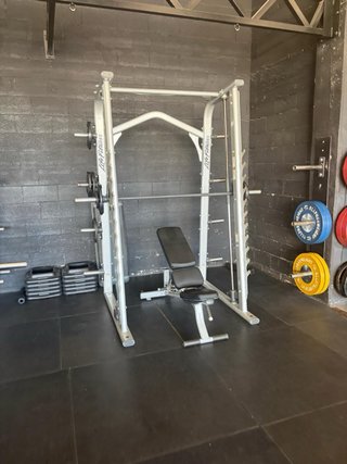 Lote musculación Life Fitness