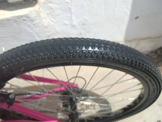 Bicicleta BIOCYCLE XRT ELIXIR 24