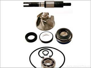Bomba de agua Honda SH Dylan Passion Nes Fes 125 y