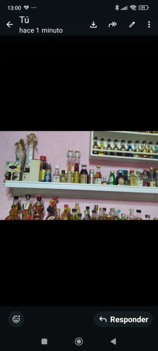 Collezione di Bottiglie Miniatura