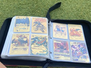 Álbum Cromos Pokémon 53 Páginas