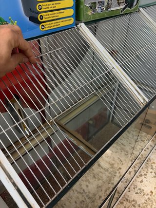 Jaula para animales de cristal