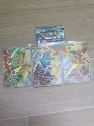Cartas Pokémon Chikorita, Totodile, Cyndaquil