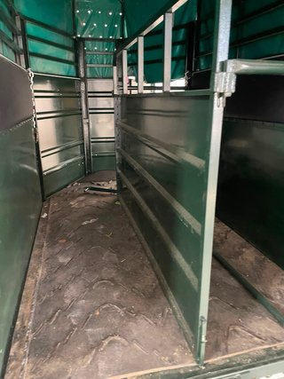 Remolque VAN para transporte caballos