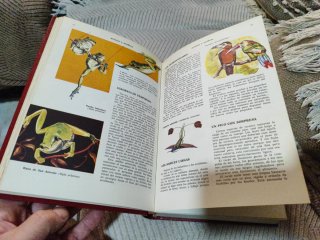 Ciencias naturales.   Curiosidades del reino anima