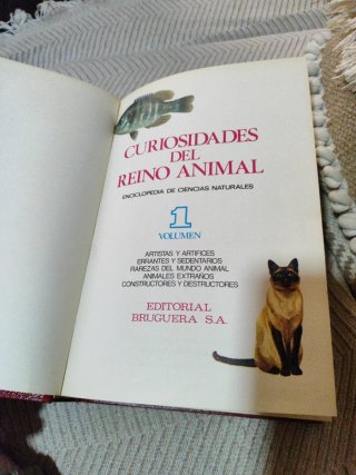 Ciencias naturales.   Curiosidades del reino anima