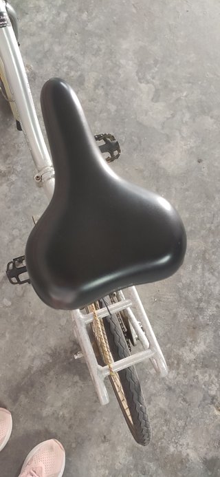 Bicicleta Plegable Plata