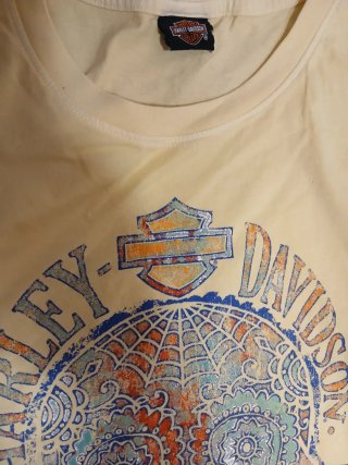 Camiseta Harley-Davidson Calavera Multicolor