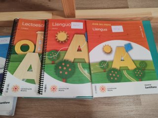 Lectoescriptura llengua, 1 Primària, Projecte c...