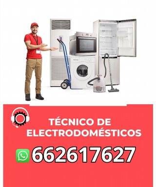 Técnico de electrodomésticos s848947