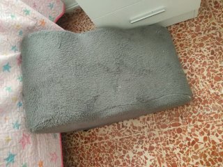 Rampa para perros gris