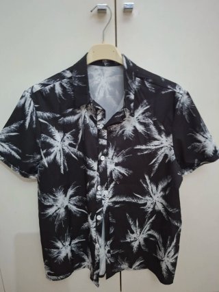 Lote 2 Camisas Zara
