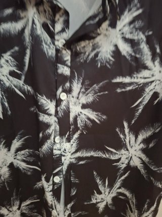 Lote 2 Camisas Zara