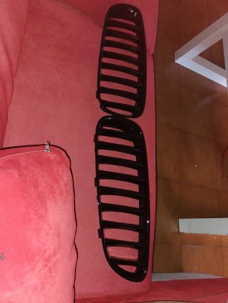 Riñones BMW z4 e89