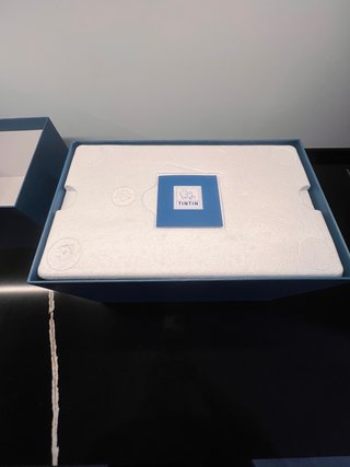Figura Resina Tintín Milú Ils Arrivent Certificada