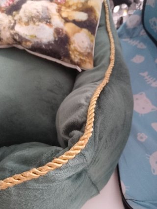 Cama preciosa y transportín ligero para mascotas