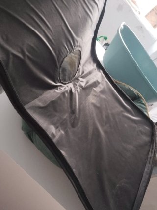 Cama preciosa y transportín ligero para mascotas
