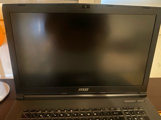 Portátil MSI Gradon Edition