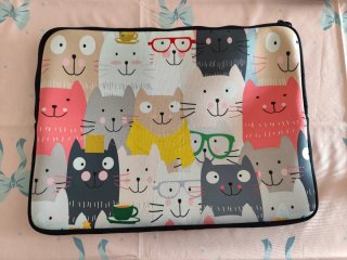 Funda portátil 17 pulgadas.