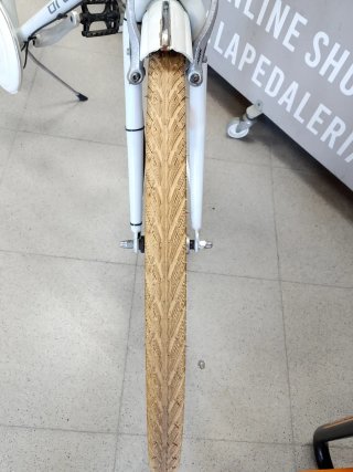 Bicicleta Holandesa Ortler Van Dyck