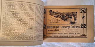 Album Vedute Storiche Zurigo Ansichten 1900