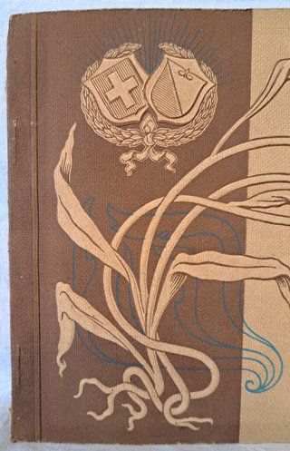 Album Vedute Storiche Zurigo Ansichten 1900