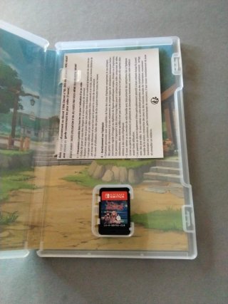 Elrentaros Wanderings Nintendo Switch RPG