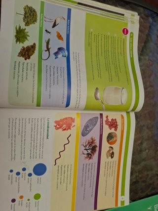 BIOLOGIA Y GEOLOGIA MEC 1ESO CONSTRUYENDO MUNDOS