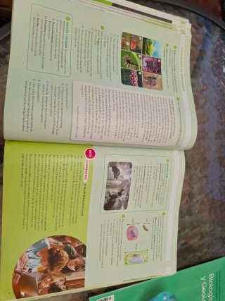 BIOLOGIA Y GEOLOGIA MEC 1ESO CONSTRUYENDO MUNDOS