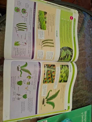 BIOLOGIA Y GEOLOGIA MEC 1ESO CONSTRUYENDO MUNDOS