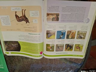BIOLOGIA Y GEOLOGIA MEC 1ESO CONSTRUYENDO MUNDOS
