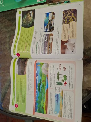 BIOLOGIA Y GEOLOGIA MEC 1ESO CONSTRUYENDO MUNDOS