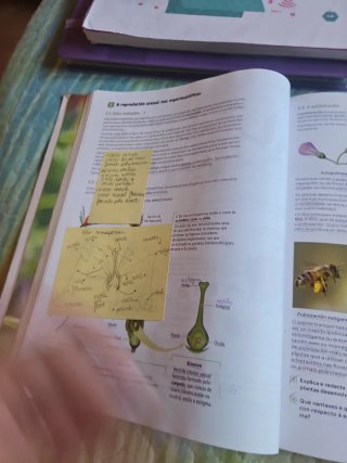 Bioloxía, Xeoloxía e Ciencias Ambientais. 1 Bac...