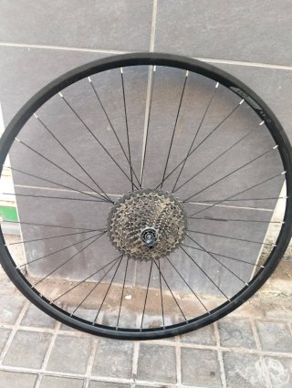 Rueda trasera Shimano Freno Disco