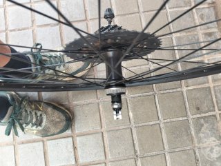 Rueda trasera Shimano Freno Disco
