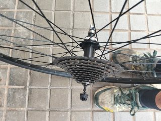 Rueda trasera Shimano Freno Disco