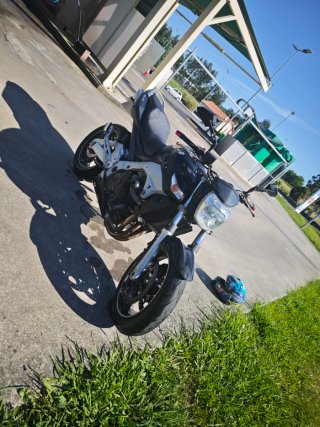 Suzuki GSR600