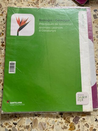 Libro