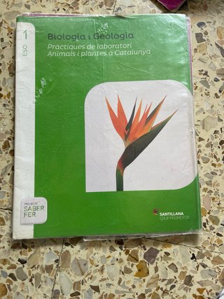 Libro